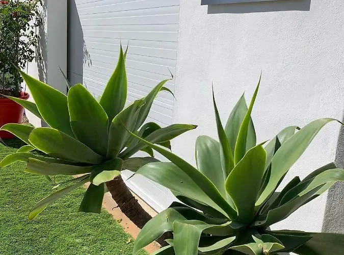 “las Cuadras “ Holiday home